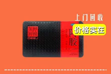 华容区回收阿胶