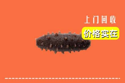 华容区回收海参