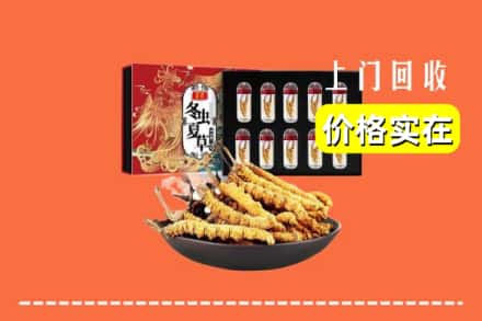 华容区回收虫草